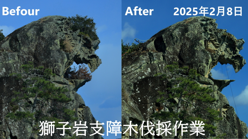 クリックで、伐採作業が見られます。