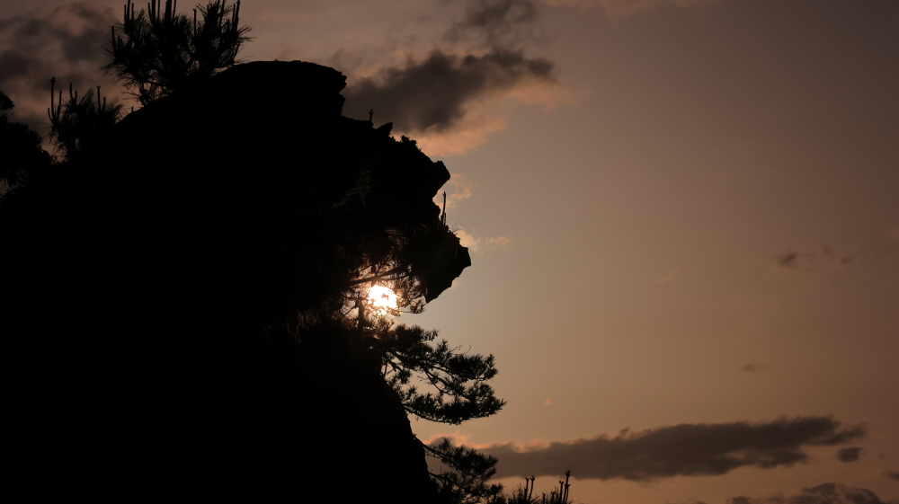 2025年5月7日撮影